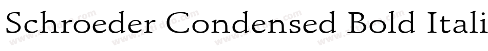 Schroeder Condensed Bold Italic字体转换